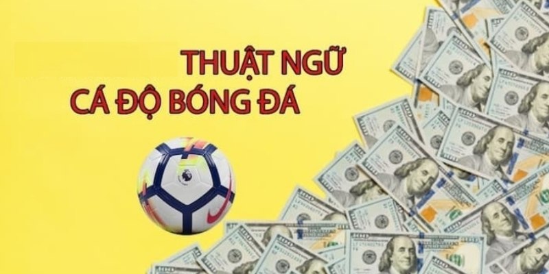 thuật ngữ cá cược bóng đá